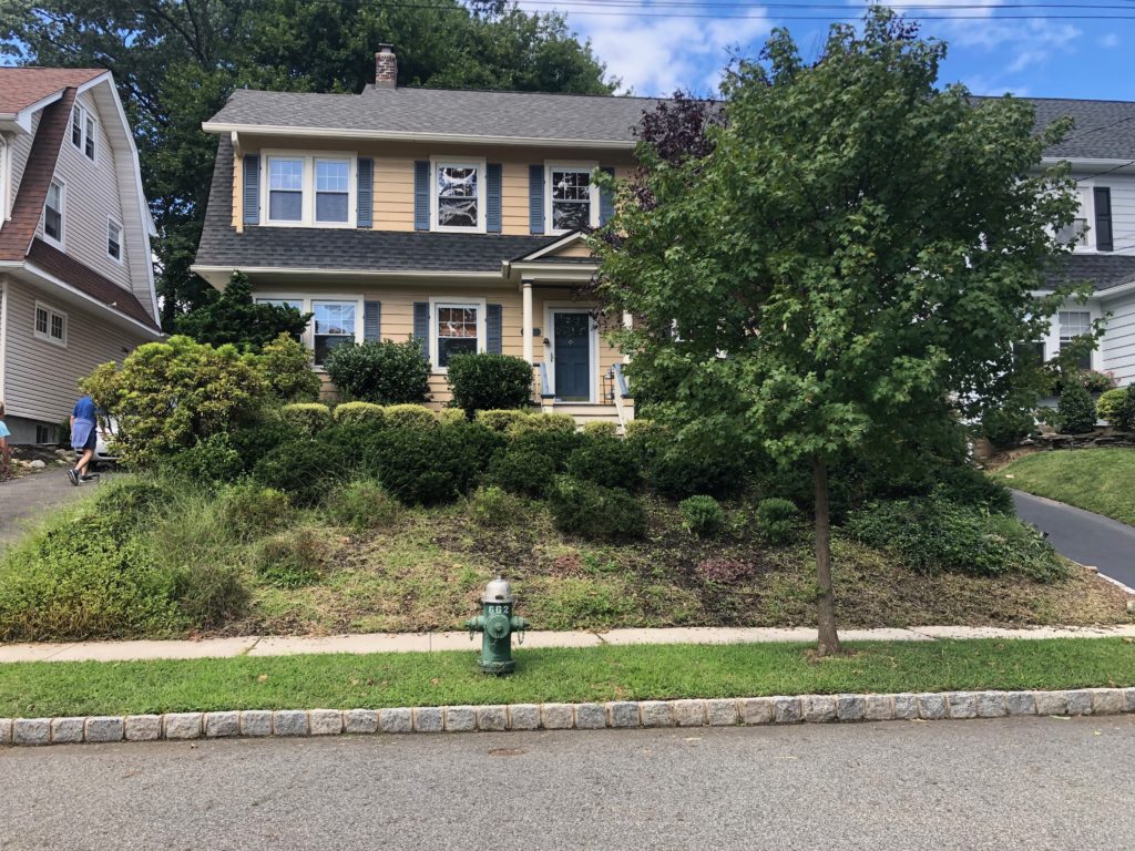 Curb strip – planted with grass, one tree, and includes a fire hydrant